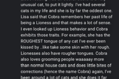 Request Quote: Online Reiki For Your Animals - Rimrock, AZ