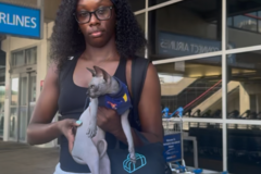 Request Quote: PA - NJ based Flight Nanny - Nationwide