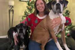 Request Quote: Sandy Reynolds - Certified Holistic Pet Health Coach - Nationwide