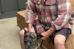 Request Quote: David Reeves - Pet Boarding - Carlsbad, CA