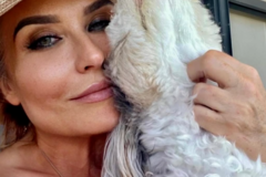 Request Quote: Canine Comfort Care by Hope - Flight Nanny - Nationwide