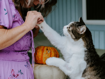 Fear Free cooperative training