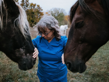 communication with 2 horses