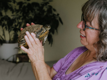 communication with a turtle
