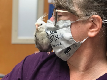 communing with a bird