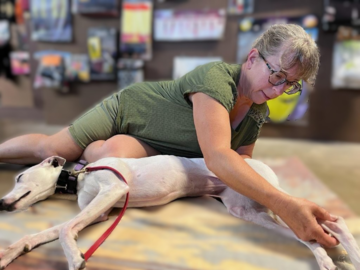 acupressure on a dog