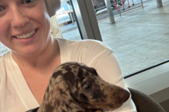 Request Quote: Pet Companion and Ground Guardian - Flight Nanny - Nationwide