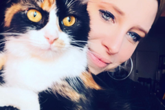 Request Quote: SkyPaws - Stress Free In-Cabin Pet Transport - Nationwide