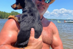 Request Quote: Happy Tails Pet Transport - Livonia, MI