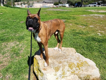 Urban Agility