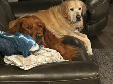 Captain and Morgan