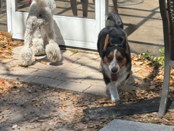 Playtime!! 