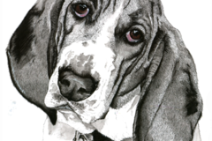 Request Quote: Debby Loveless Pet Portraits, Pen & Ink or Acrylic Paints - Nationwide
