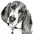 Debby Loveless Pet Portraits, Pen & Ink or Acrylic Paints - Nationwide