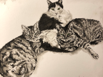 3 Cool Cats
