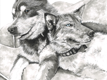 Wiley & Bear