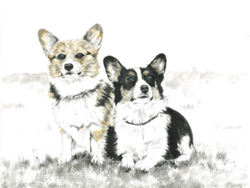 Murphy & Matilda