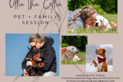 Request Quote: Bowie Maryland Pet Photography Sessions - Bowie, MD