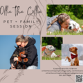 Bowie Maryland Pet Photography Sessions - Bowie, MD
