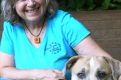 Request Quote: AllPets Training and Behavior Solutions - Nationwide