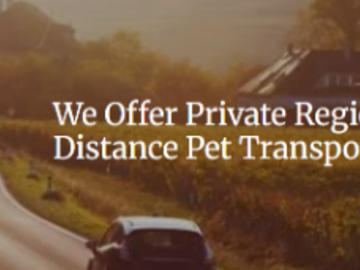 Pet Transport Toledo Ohio