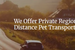 Request Quote: Dawn Govin Private Pet Transport  - Nationwide