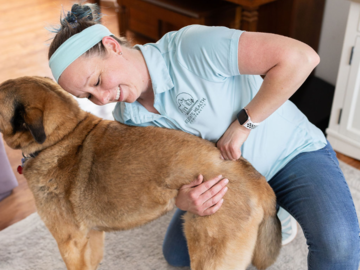 Dr. Jen adjusting a dog patient