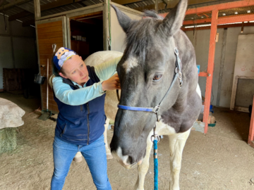 Dr. Jen adjusting a horse patient