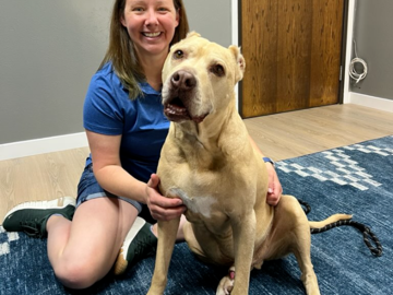 Animal Chiropractor Arvada Colorado