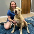 Holistic Chiropractic for Pets - Arvada, CO