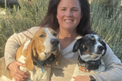 Request Quote: In Home Pet Euthanasia and Aftercare Services - Camden, SC