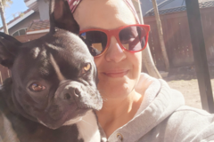 Request Quote: Canine Therapeutic In-Home Massage Services - Menifee, CA