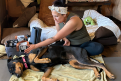 Request Quote: Rena Basurto - In Home Pet Sitting Services - Murrieta, CA