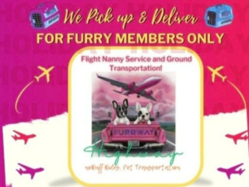 Book me furrwayhighway@gmail.com