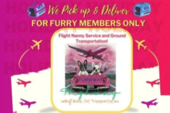 Request Quote: FurrWay High'Way Flight Nanny - Nationwide