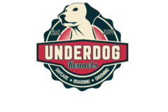 Request Quote: Underdog Kennels - Dog Daycare  - Dallas, TX