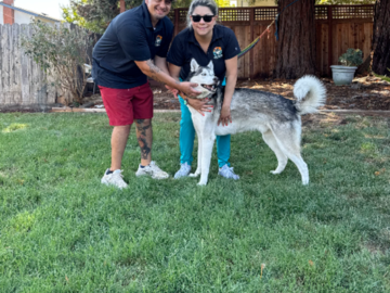 Napa CA Pet Waste Removal Services