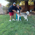 Doo Crew Co - Pet Waste Removal Service  - Napa, CA