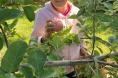 Request Quote: Alice Rogers - In Home Pet Sitting Service - Round Rock, TX