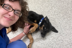 Request Quote: Alyssa Canter - At Home Pet Sitter  - Liberty, NC