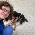 Alyssa Canter - At Home Pet Sitter  - Liberty, NC