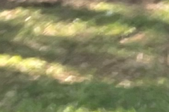 Request Quote: Travel Bestie for Your Bestie - Flight Nanny - Nationwide