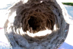 Request Quote: FREE Dryer Vent Inspections For Pet Owners! Limited Spots! - Bronx, NY