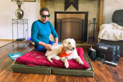 Request Quote:   Healthy K9 Companion – Holistic Dog Wellness - Wasilla, AK
