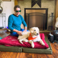   Healthy K9 Companion – Holistic Dog Wellness - Wasilla, AK