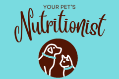 Request Quote: Karey Boise, CPN - Pet Nutrition Consulting - Nationwide
