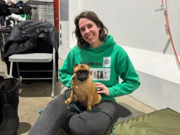 Offering massage services during dog sport events and shows