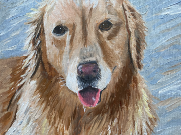 Pearl The Golden Retriever