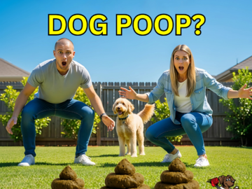 dog poop pick up Columbus, Ohio