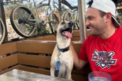 Request Quote: Big Backyard - Trusted Pet Sitting  - Las Vegas, NV